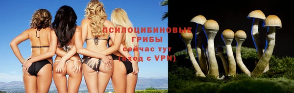 ALPHA-PVP Алексин